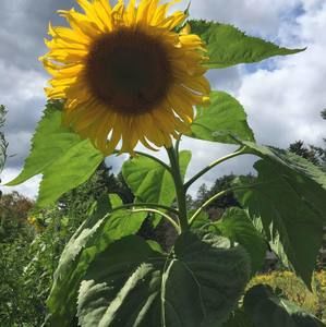 Meet your Posher, Shawn